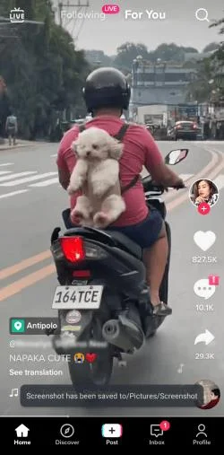 Πώς να κατεβάσετε ένα βίντεο TikTok χωρίς το υδατογράφημα