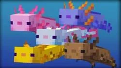 Πώς να αναπαράγετε το Axolotl στο Minecraft