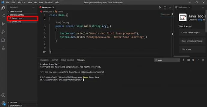Как да стартирате код в терминал във VS Code