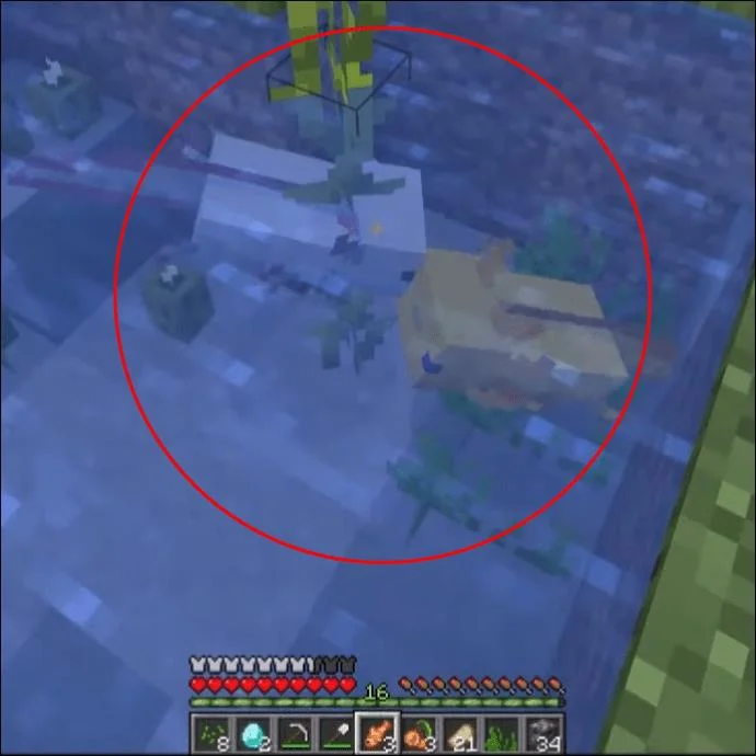 Πώς να αναπαράγετε το Axolotl στο Minecraft