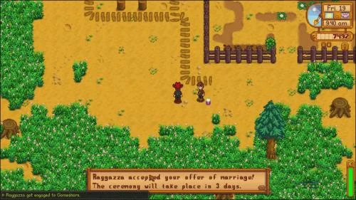 Как да се оженим в Stardew Valley