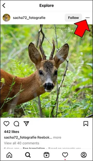 Как да нулирате страницата за изследване на Instagram