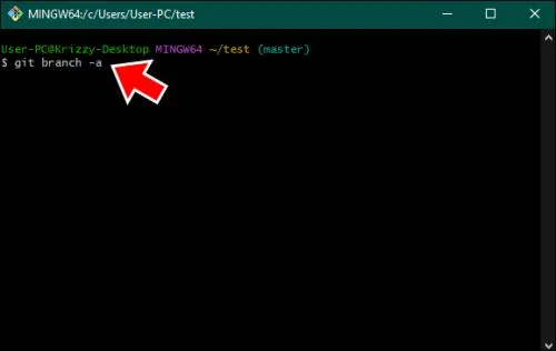Πώς να διαγράψετε το Branch στο Git