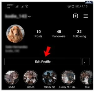 Što znači kada netko kaže "link u biografiji" na Instagramu?
