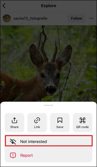 Как да нулирате страницата за изследване на Instagram