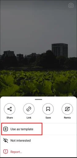 Къде да намерите безплатни шаблони за макари за Instagram