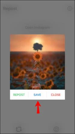 Не можете да споделите нечия друга история в Instagram? Причината и решение