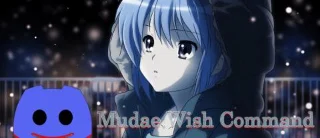 Mudae Wish Commands