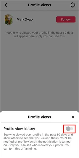 Как да изключите прегледите на профили в TikTok