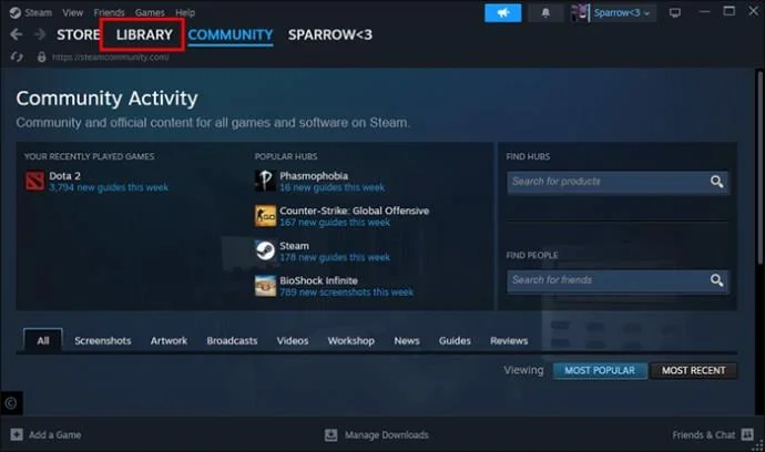 Jak skrýt hry před přáteli ve službě Steam