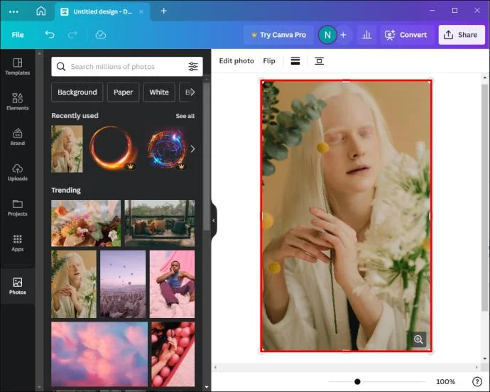 Как да добавите снимка към рамка в Canva