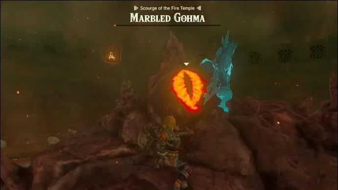 How To Get Memory 11 In Tears Of The Kingdom