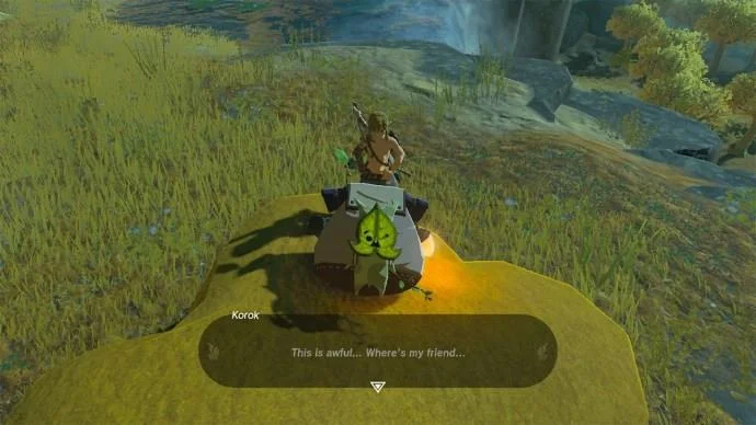 Сълзите на Кралството Korok Seeds