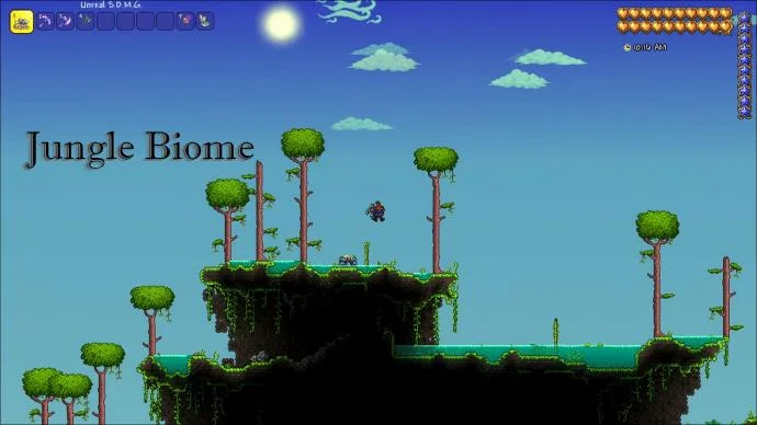 Как да намерите Aether Biome в Terraria