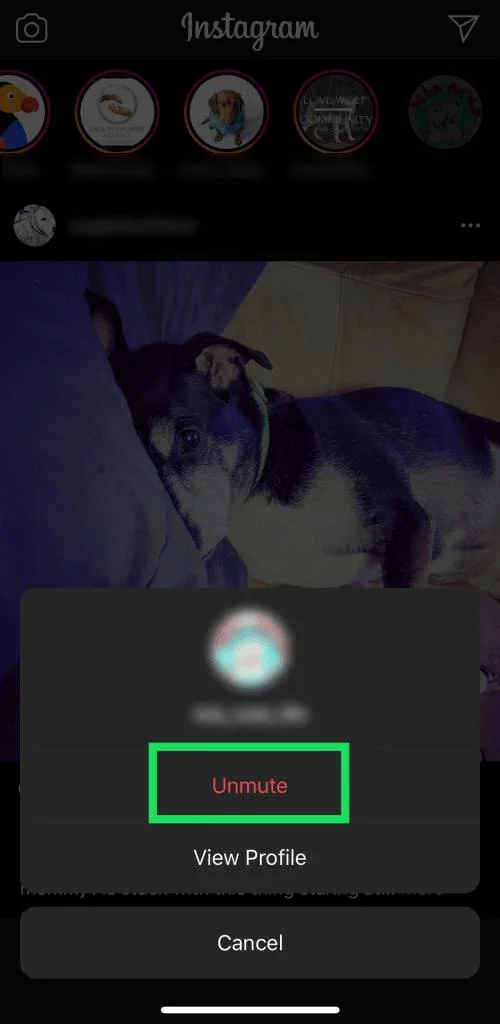 Как да включите звука на история в Instagram