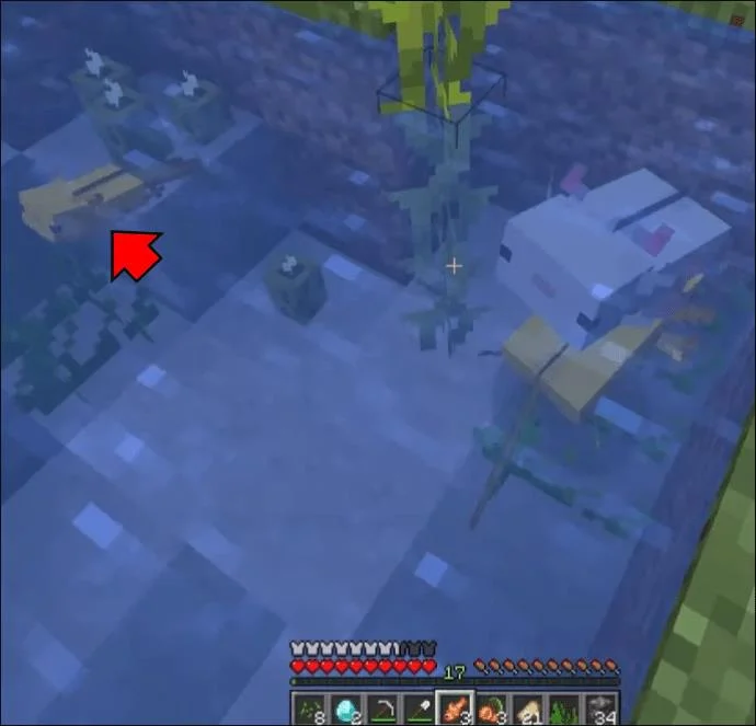 Πώς να αναπαράγετε το Axolotl στο Minecraft
