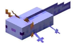 Πώς να αναπαράγετε το Axolotl στο Minecraft