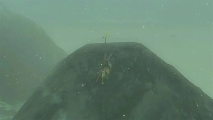 Сълзите на Кралството Korok Seeds