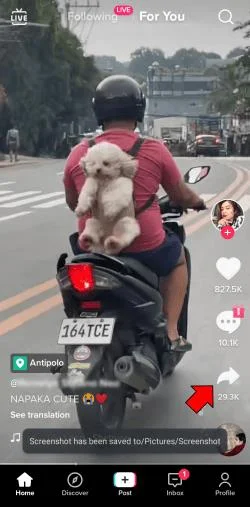 Πώς να κατεβάσετε ένα βίντεο TikTok χωρίς το υδατογράφημα
