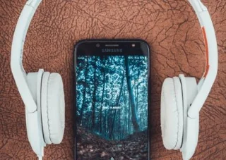 Как да включите или изключите Canvas в Spotify Как да включите или изключите Canvas в Spotify