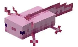Πώς να αναπαράγετε το Axolotl στο Minecraft