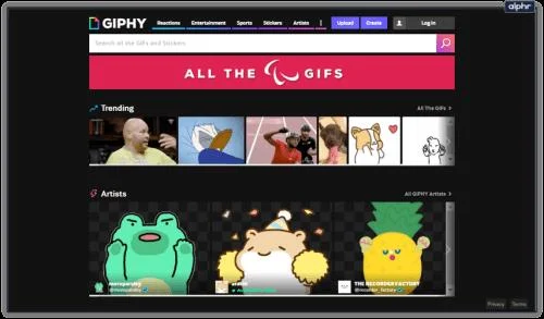 Gif nefunguje na Instagramu – co dělat