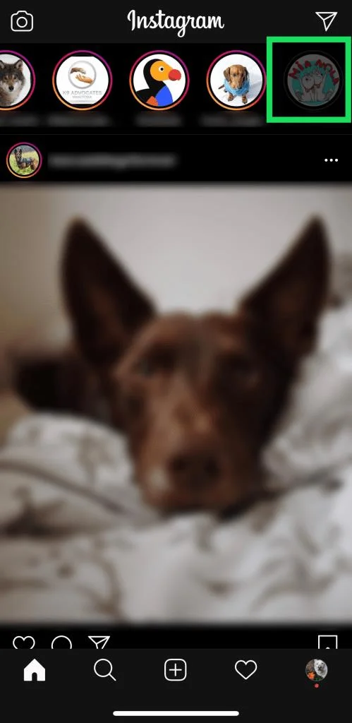 Как да включите звука на история в Instagram