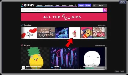 Gif nefunguje na Instagramu – co dělat