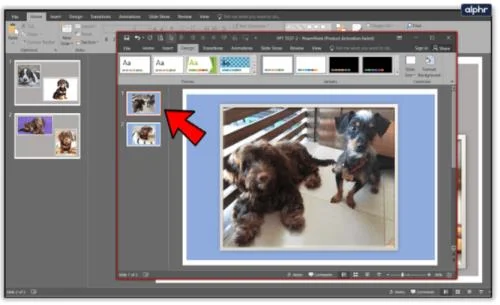Как да обедините PowerPoint файлове в един файл