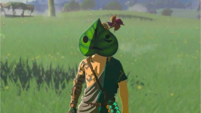 Сълзите на Кралството Korok Seeds