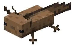 Πώς να αναπαράγετε το Axolotl στο Minecraft