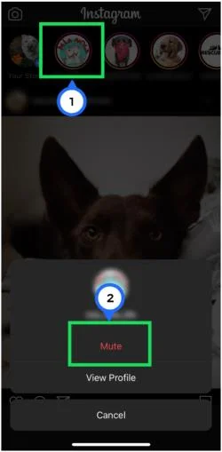 Как да включите звука на история в Instagram