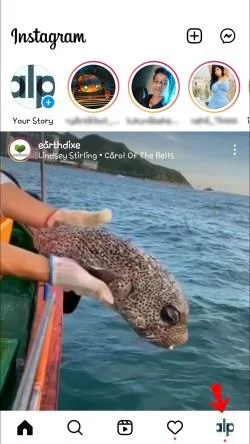 Δεν μπορώ να μοιραστώ ανάρτηση στο Instagram Story – Γιατί όχι;