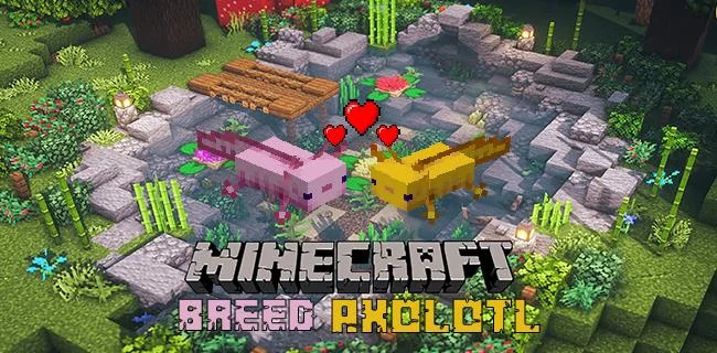 Πώς να αναπαράγετε το Axolotl στο Minecraft