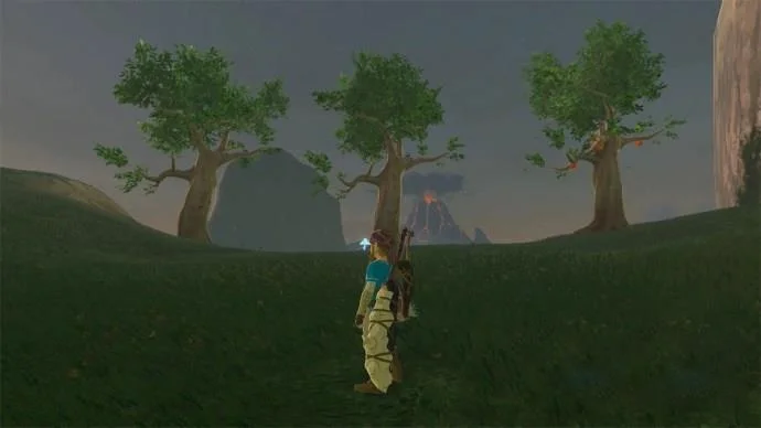 Сълзите на Кралството Korok Seeds