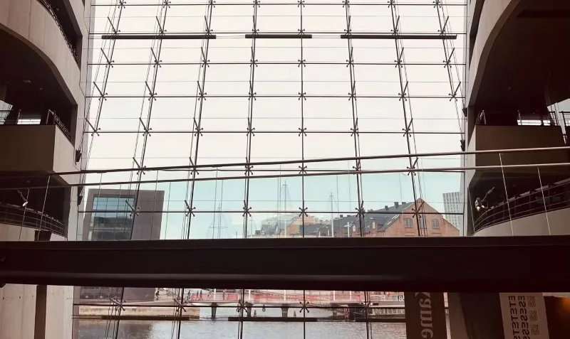 11 vinkkiä, jotka kannattaa jakaa puhelimella kuvaamiseen