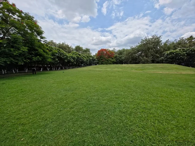 Kako narediti ultra širokokotno kamero telefona nenavadno super