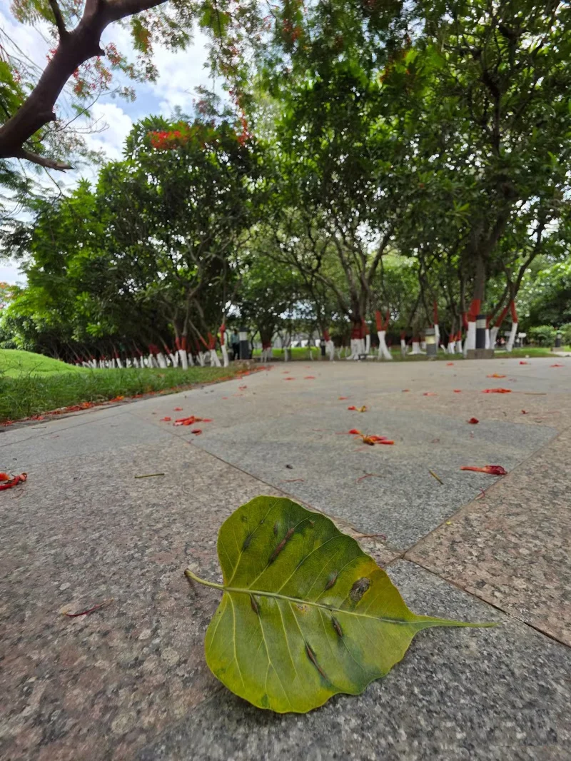 Kako narediti ultra širokokotno kamero telefona nenavadno super