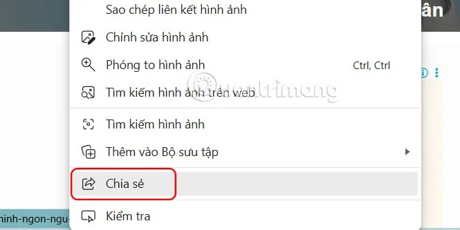 Sådan rettes fejlen "Microsoft Store virker ikke"