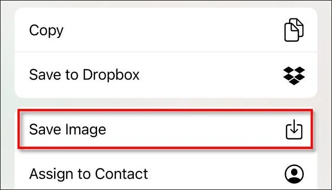 Sådan kopierer du billeder og videoer fra appen Filer til Fotos-biblioteket på iPhone, iPad