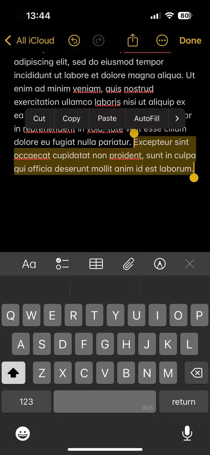 iPhone має прихований трекпад: ви вже пробували?