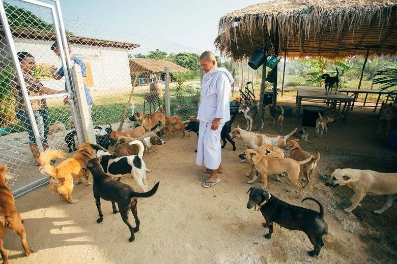 Ali vam vaša neprofitna organizacija začenja vzeti preveč časa?  Tukaj je, kako to rešiti