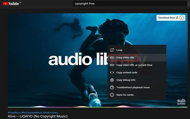 Melyik a legjobb YouTube letöltő?