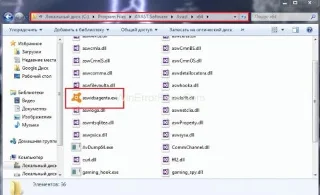 Какво е Aswidsagenta.exe, трябва ли да го изтриете?