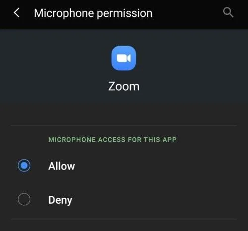 Επιβεβαίωση άδειας μικροφώνου Zoom