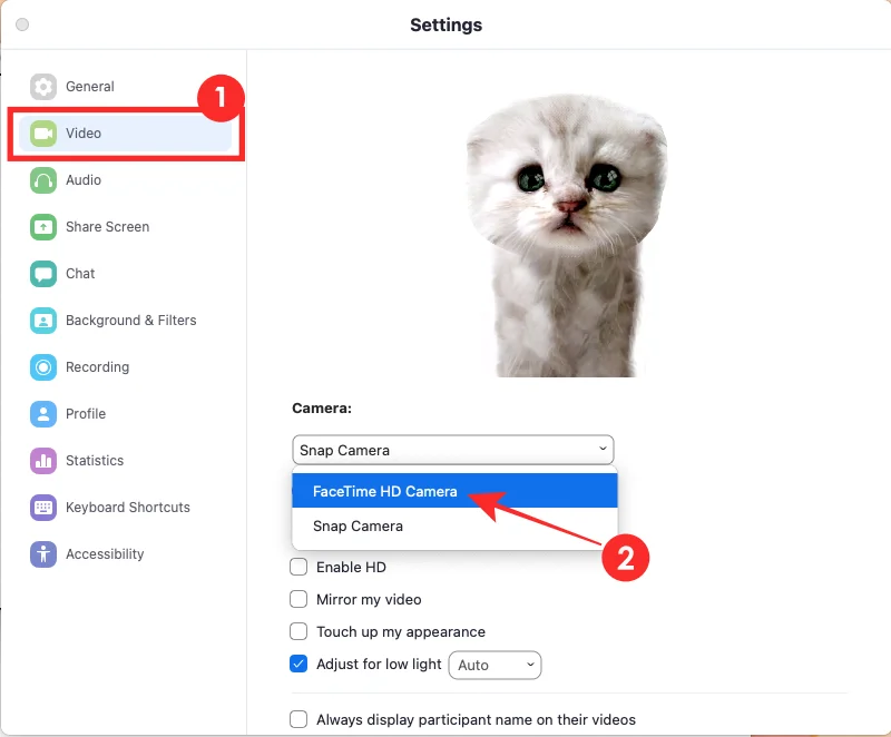 Zoom Cat Filter: Hur man får det, sätter på och stänger av det