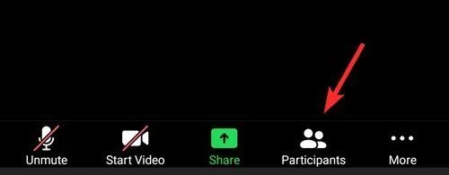 Kako spustiti ljudi v Zoom