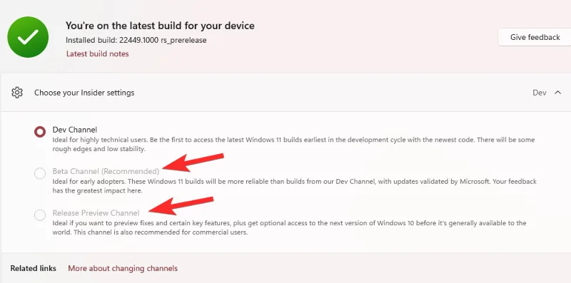 Zakaj so možnosti programa Windows Insider v sistemu Windows 11 zatemnjene?  Kako popraviti