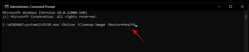 Kako popraviti visoko porabo CPE-ja ali diska pri iskanju Windows v sistemu Windows 11