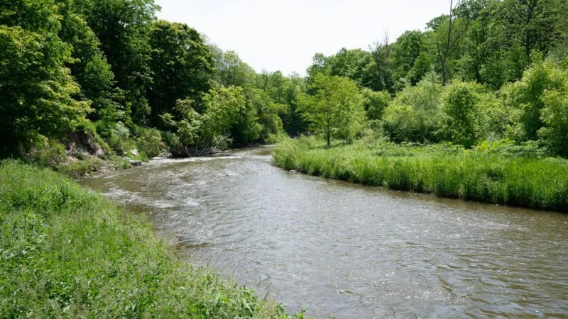 139 prejardhje fantastike të Microsoft Teams për të shtuar argëtimin!  [maj 2021]